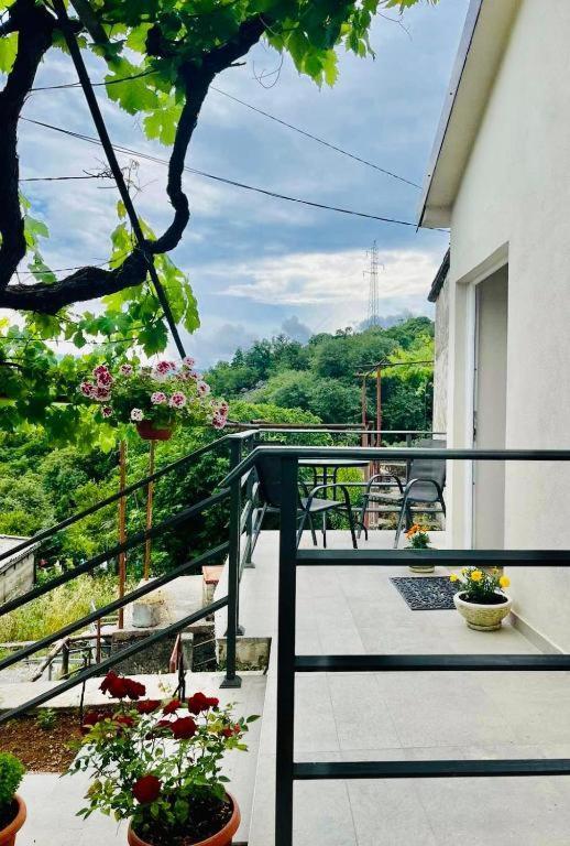 וירפזאר Apartments Stella מראה חיצוני תמונה
